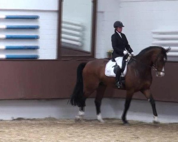 Dressur- und Springturnier Eröffnung der grünen Saison 2013