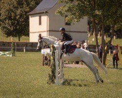 jumper Cluain Laragh Princess (Connemara Pony, 2010)