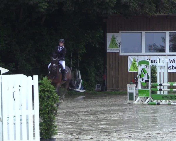 Reitturnier Arnsberg-Holzen 2024