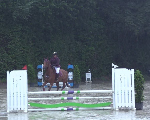 Reitturnier Arnsberg-Holzen 2024