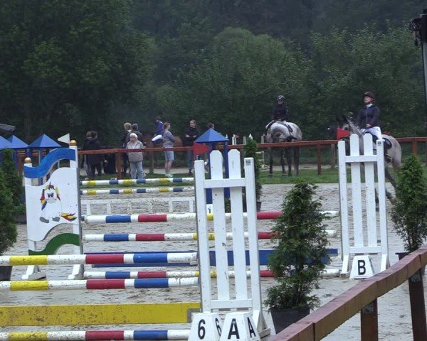 Reitturnier Arnsberg-Holzen 2024