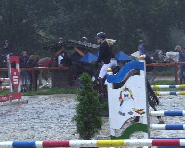 Reitturnier Arnsberg-Holzen 2024