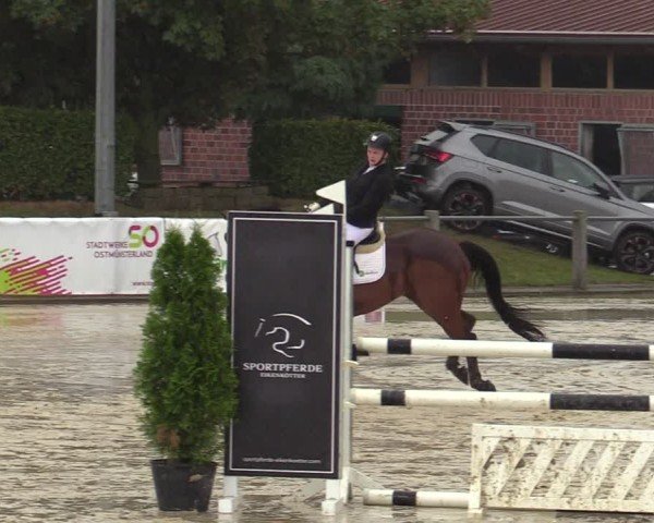 Reitturnier Ennigerloh-Neubeckum 2024