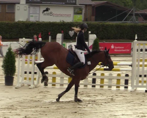 Reitturnier Ennigerloh-Neubeckum 2024