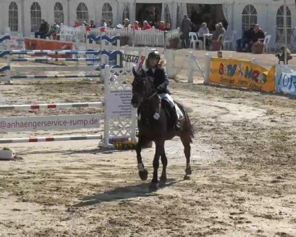 Reitturnier Werne-Lenklar 2013