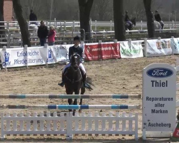 Reitturnier Werne-Lenklar 2013