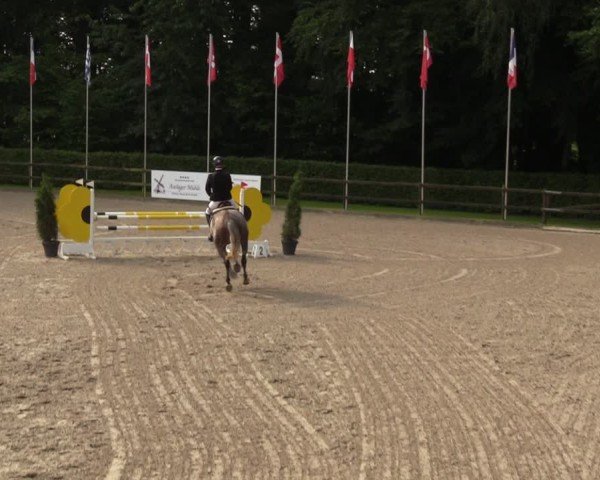 Reitturnier Klein Roscharden 2024