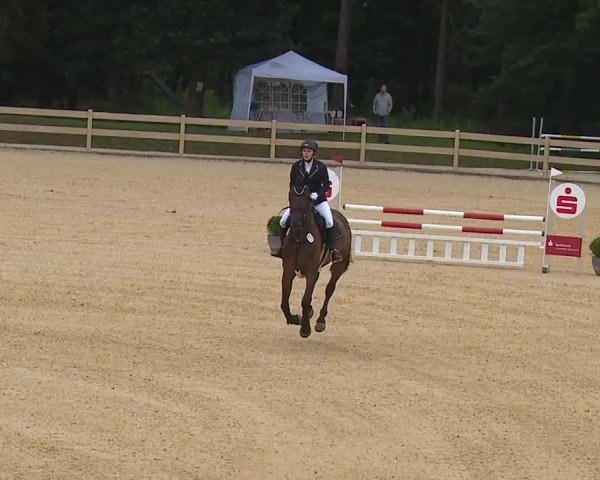 Reitturnier Tiefenhof/Opf. 2024