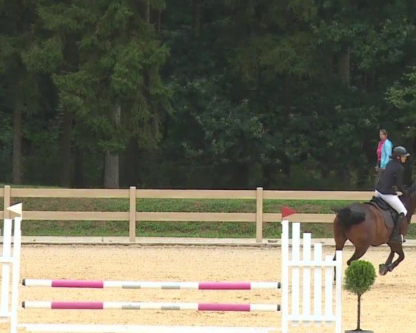 Reitturnier Tiefenhof/Opf. 2024