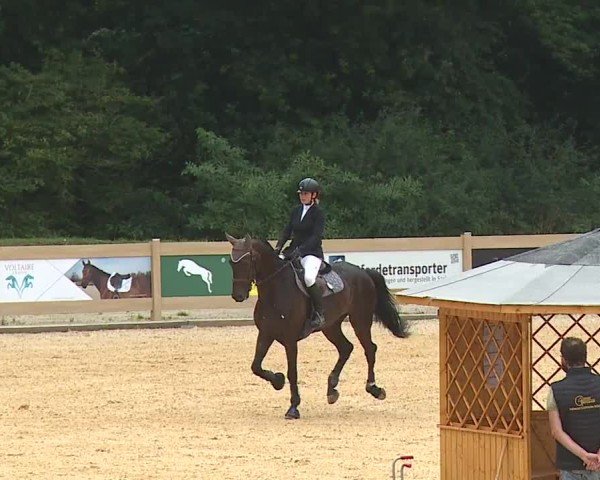 Reitturnier Tiefenhof/Opf. 2024