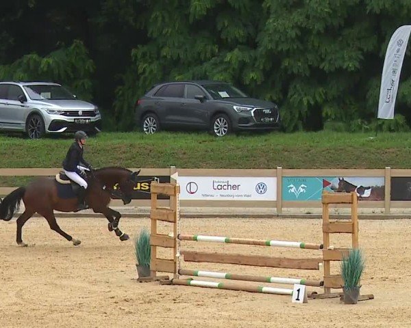 Reitturnier Tiefenhof/Opf. 2024