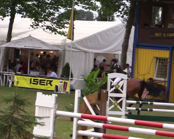Reitturnier Zobbenitz 2024