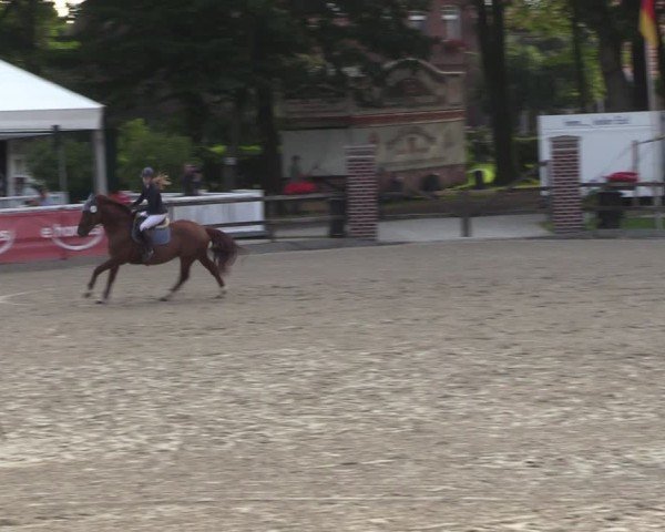 Reitturnier Klein Roscharden 2024