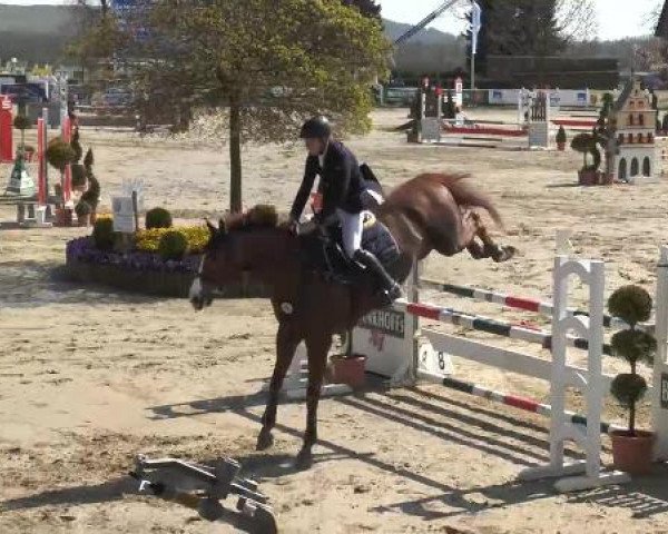 Lenklarer Reitertage auf der Reitsportanlage Gripshöver 2013