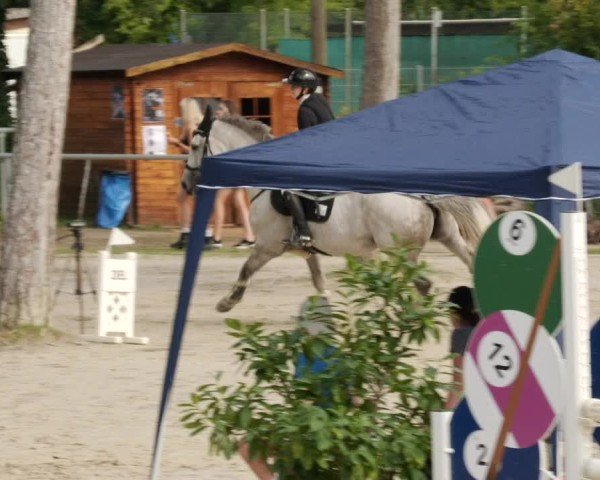 Reitturnier Mannheim-Friedrichsfeld 2024