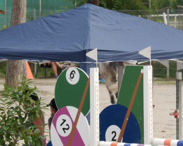 Reitturnier Mannheim-Friedrichsfeld 2024