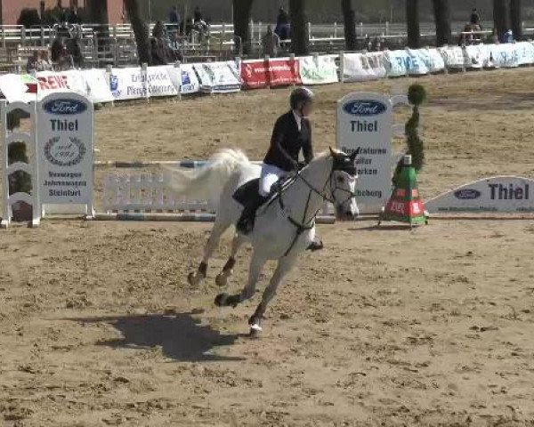 Lenklarer Reitertage auf der Reitsportanlage Gripshöver 2013