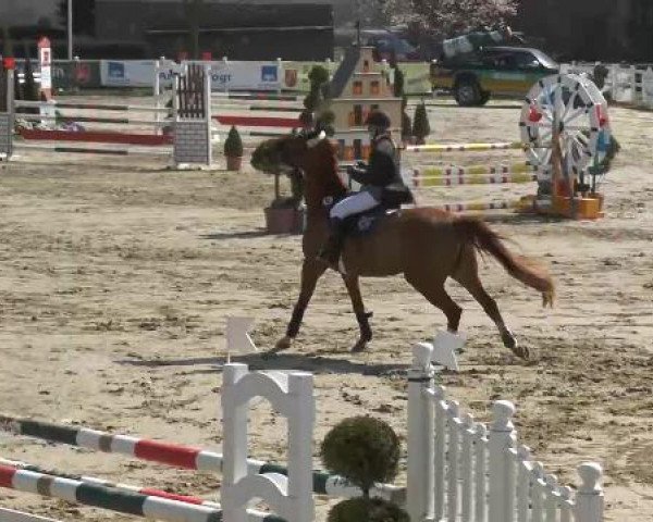 Reitturnier Werne-Lenklar 2013
