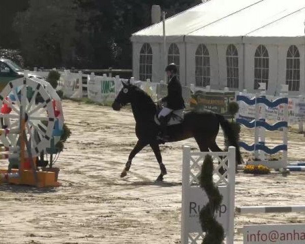 Lenklarer Reitertage auf der Reitsportanlage Gripshöver 2013