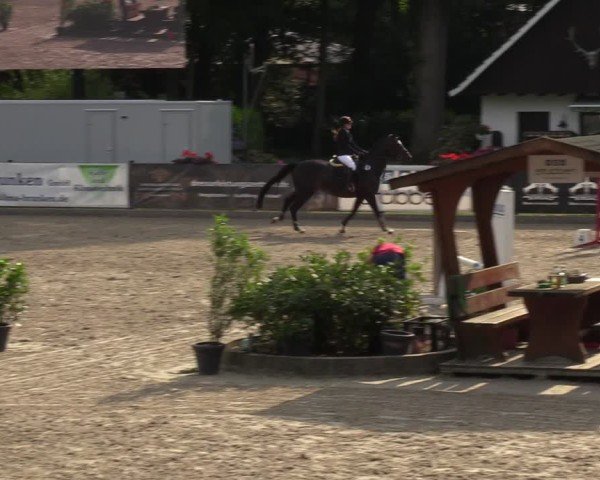 Reitturnier Klein Roscharden 2024