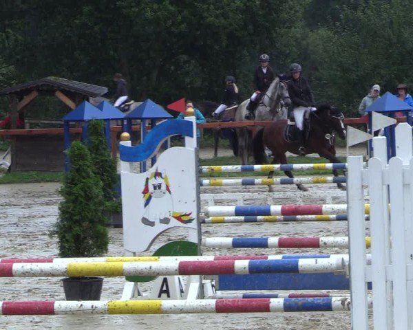 Reitturnier Arnsberg-Holzen 2024