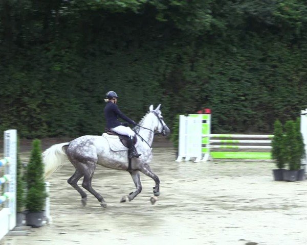 Reitturnier Arnsberg-Holzen 2024
