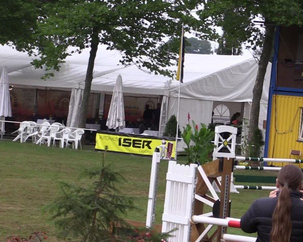 Reitturnier Zobbenitz 2024