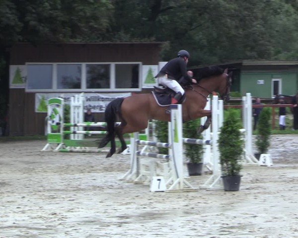 Reitturnier Arnsberg-Holzen 2024