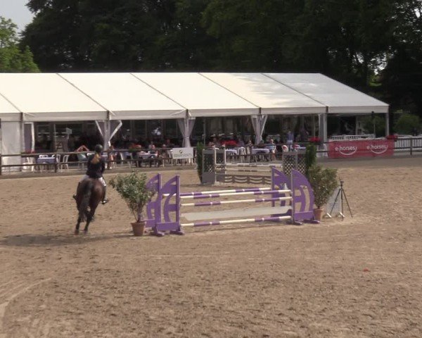 Reitturnier Klein Roscharden 2024