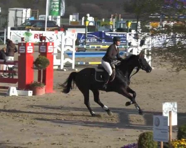 Lenklarer Reitertage auf der Reitsportanlage Gripshöver 2013
