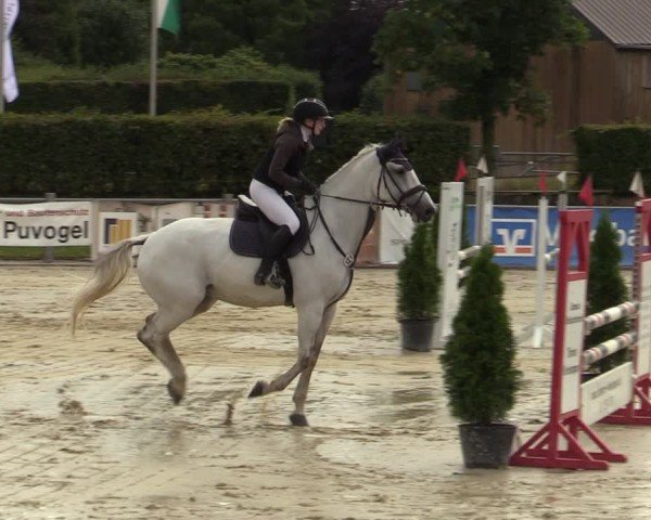 Reitturnier Ennigerloh-Neubeckum 2024