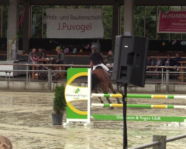 Reitturnier Ennigerloh-Neubeckum 2024