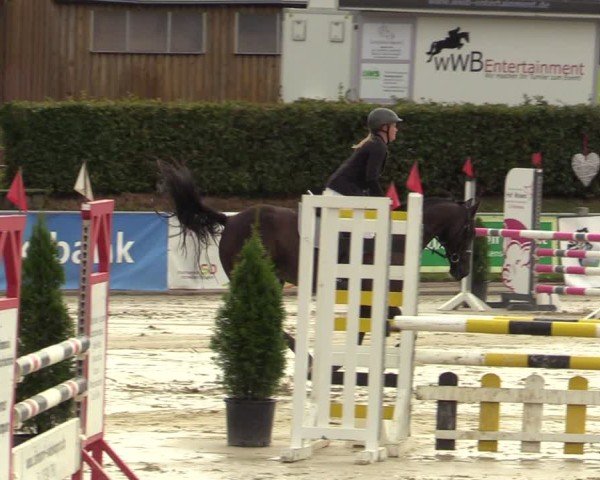 Reitturnier Ennigerloh-Neubeckum 2024
