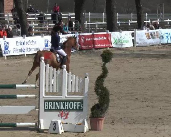 Reitturnier Werne-Lenklar 2013