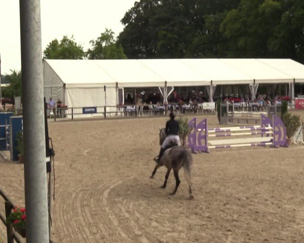 Reitturnier Klein Roscharden 2024