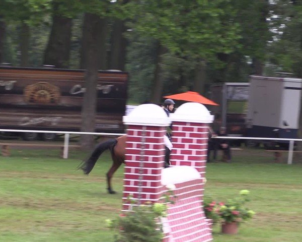 Reitturnier Zobbenitz 2024