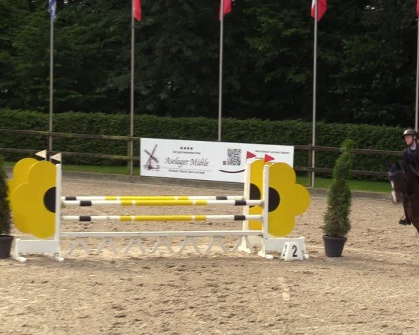 Reitturnier Klein Roscharden 2024