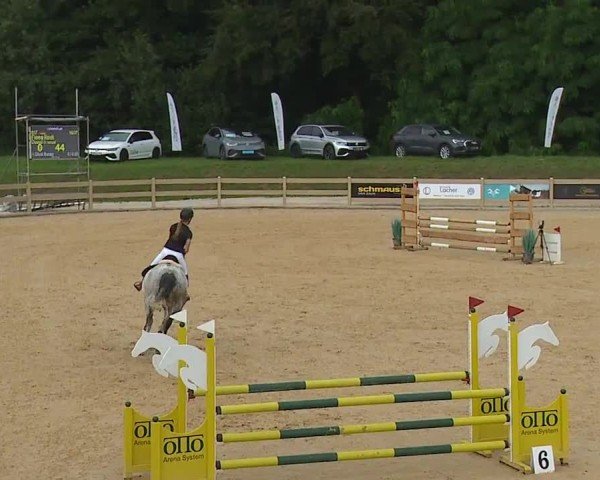 Reitturnier Tiefenhof/Opf. 2024