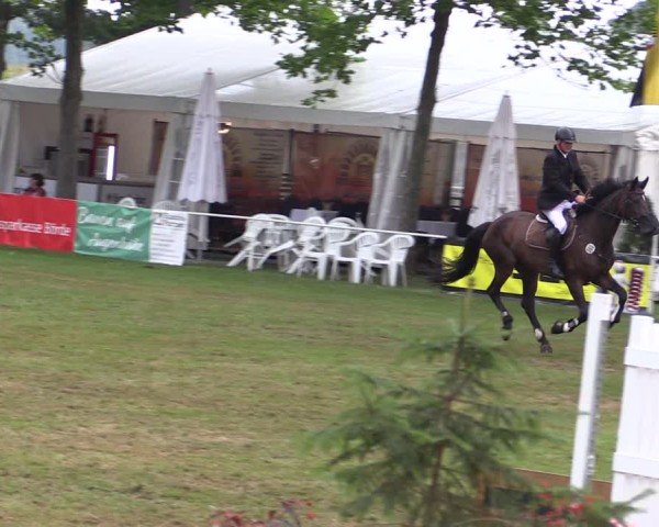 Reitturnier Zobbenitz 2024