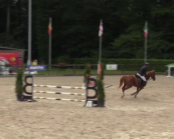 Reitturnier Klein Roscharden 2024