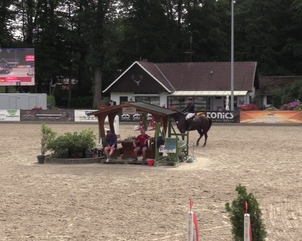 Reitturnier Klein Roscharden 2024