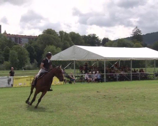 Reitturnier Bad Kissingen/Ufr. 2024