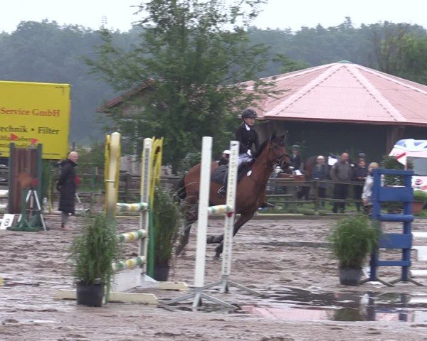 Reitturnier Altlandsberg 2024