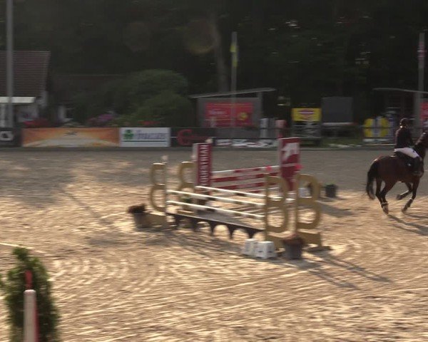 Reitturnier Klein Roscharden 2024