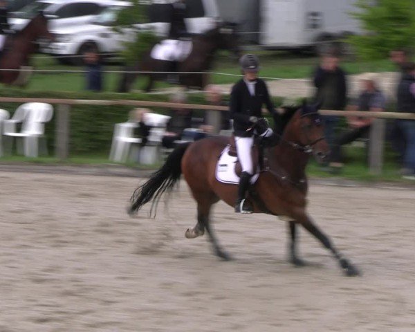Reitturnier Monschau-Mützenich 2024