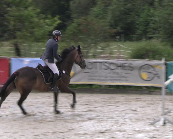 Reitturnier Monschau-Mützenich 2024