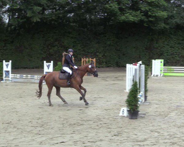 Reitturnier Arnsberg-Holzen 2024