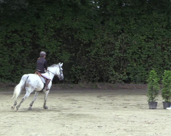 Reitturnier Arnsberg-Holzen 2024
