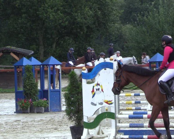 Reitturnier Arnsberg-Holzen 2024