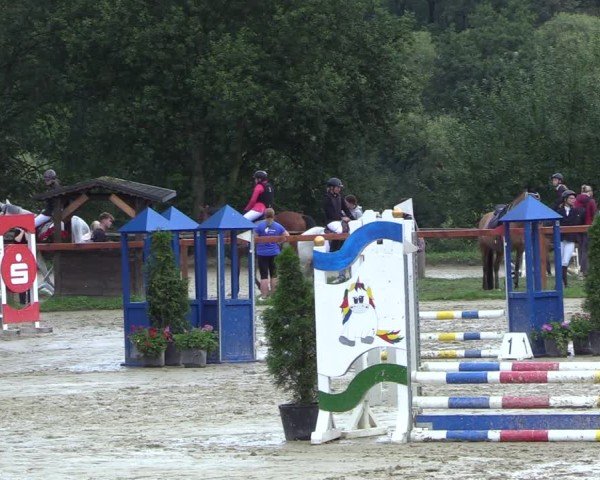 Reitturnier Arnsberg-Holzen 2024